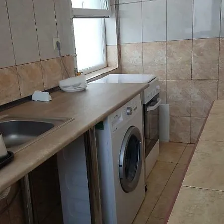 Vila Miorita בית הארחה *
